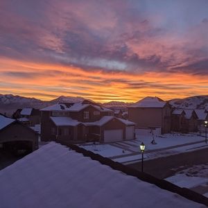 Meet your Posher, Logan Nicholson